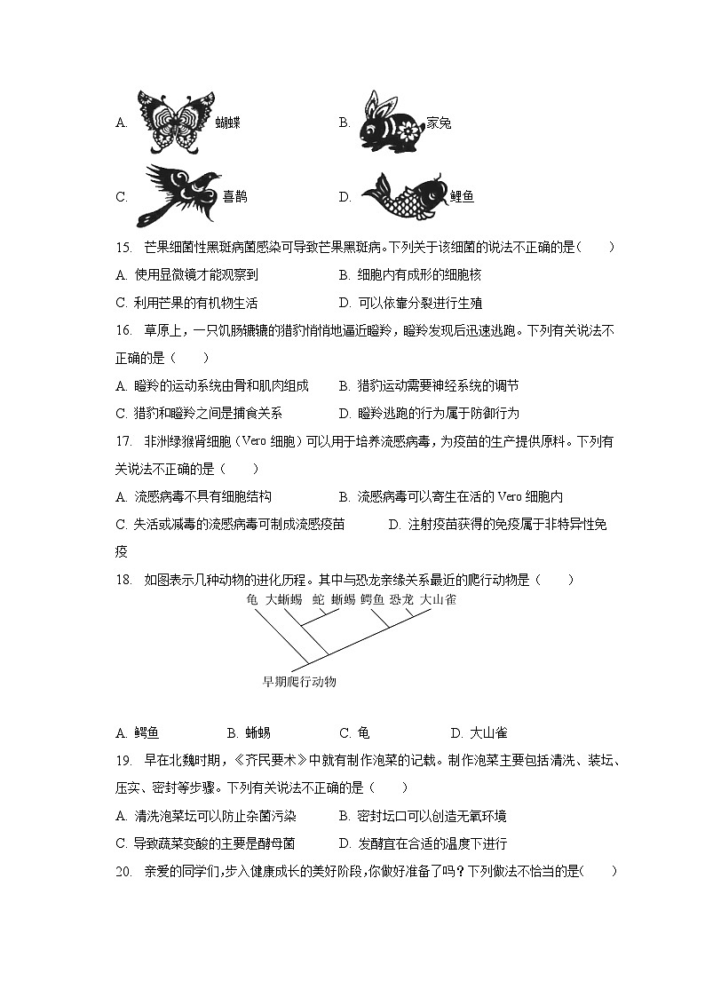 2023年河南省中考生物试卷（含解析）第3页