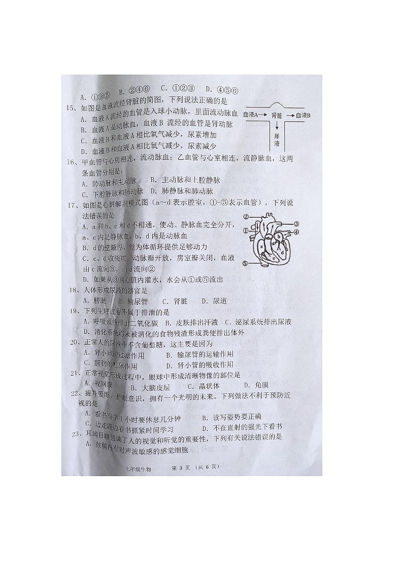 陕西省商洛市商南县2022-2023学年七年级下学期7月期末生物试题第3页