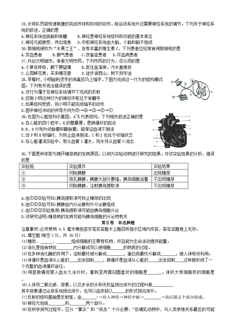 四川省自贡市2022-2023学年七年级下学期7月期末生物试题（含答案）第3页