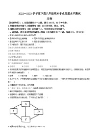 四川省泸州市龙马潭区2022-2023学年八年级下学期期末生物试题（含答案）