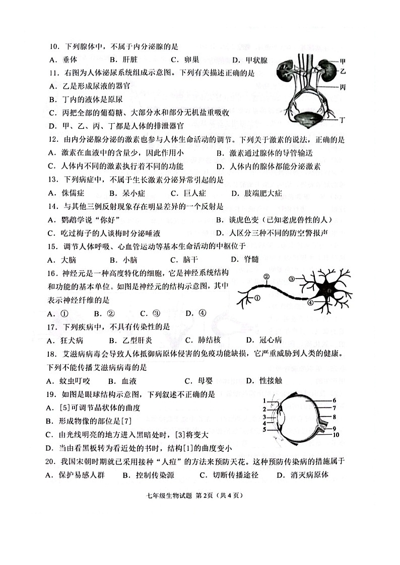 山东省济宁市邹城市2022-2023学年七年级下学期期末检测生物试题02