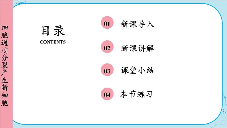 人教版生物七上 第2单元2.1 细胞通过分裂产生新细胞（课件PPT+视频素材）02