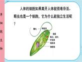 人教版生物七上 第2单元2.4 单细胞生物（课件PPT+视频素材）