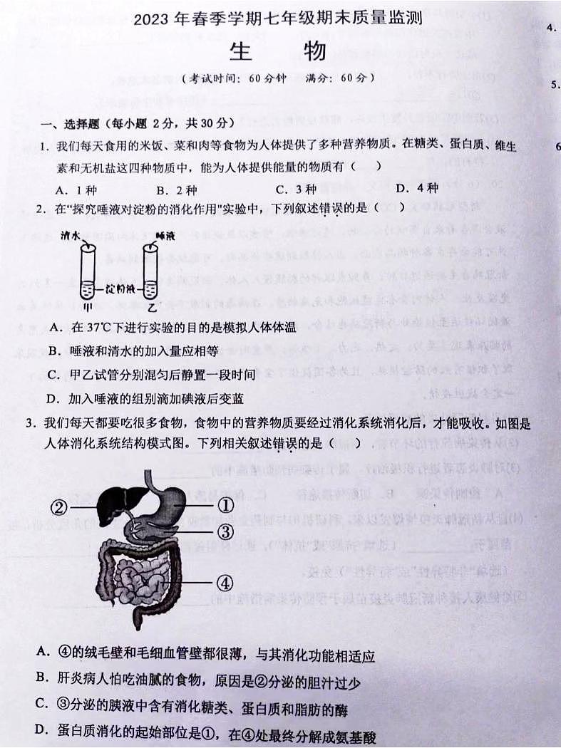 广西南宁市2022--2023学年七年级下学期生物 期末质量监测试卷01
