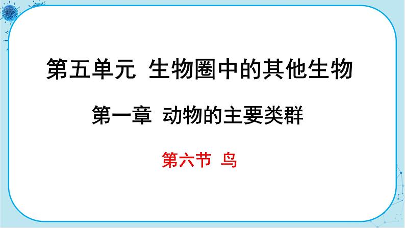 人教版生物八上 第5单元1.6  鸟（课件PPT）01