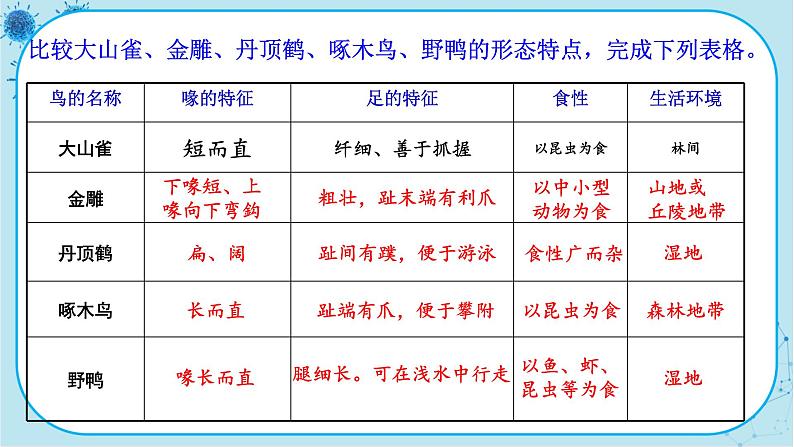 人教版生物八上 第5单元1.6  鸟（课件PPT）05