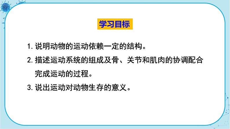 人教版生物八上 第5单元2.1  动物的运动（课件PPT）第3页