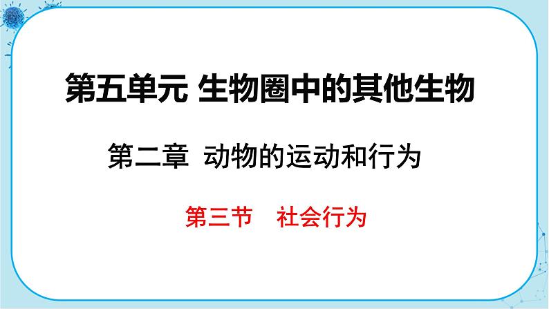 人教版生物八上 第5单元2.3  社会行为（课件PPT）01