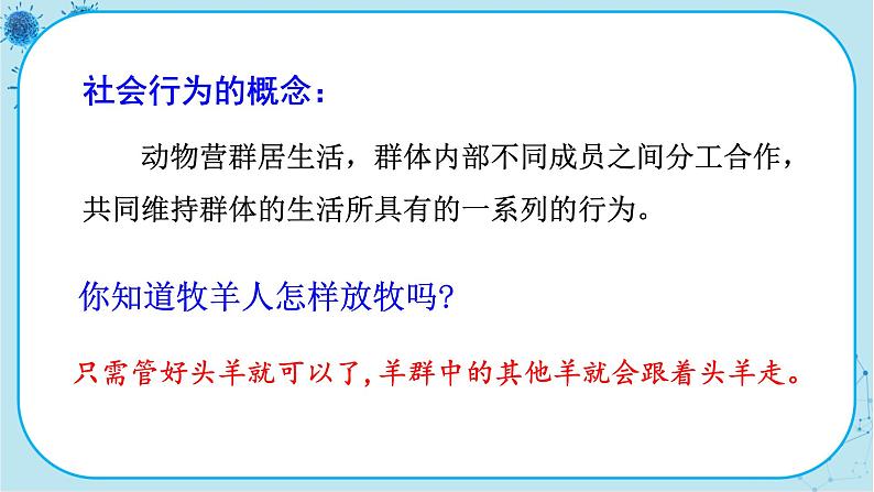 人教版生物八上 第5单元2.3  社会行为（课件PPT）05