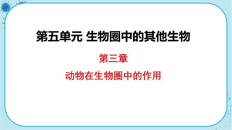 人教版生物八上 第5单元3  动物在生物圈中的作用（课件PPT）01