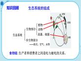 人教版生物八上 第5单元3  动物在生物圈中的作用（课件PPT）