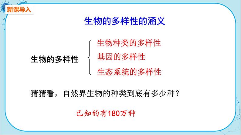 人教版生物八上 第6单元2  认识生物的多样性（课件PPT）02