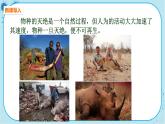 人教版生物八上 第6单元3  保护生物的多样性（课件PPT）
