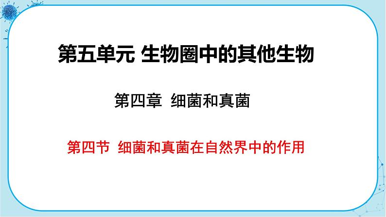 人教版生物八上 第5单元4.4  细菌和真菌在自然界中的作用（课件PPT）01