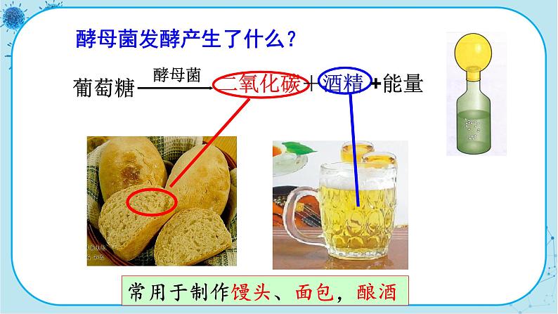 人教版生物八上 第5单元4.5  人类对细菌和真菌的利用（课件PPT）03