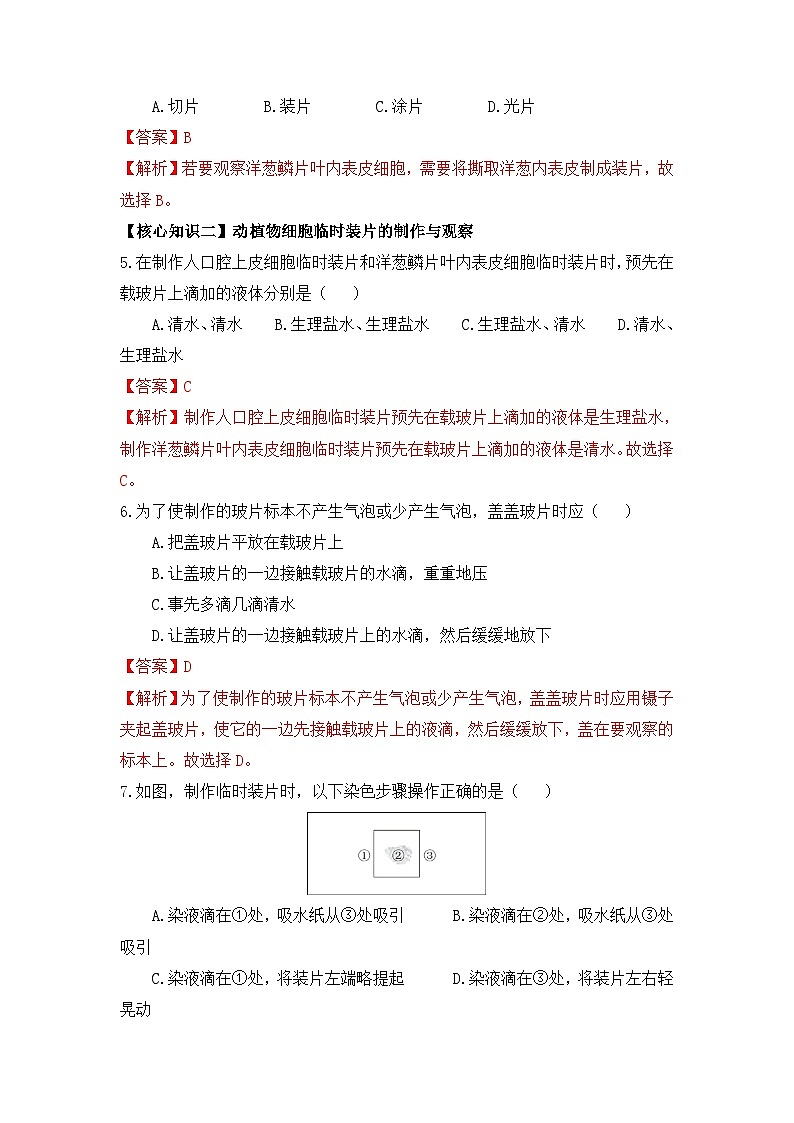 第07讲 制作与观察动植物细胞临时装片（解析版）第3页