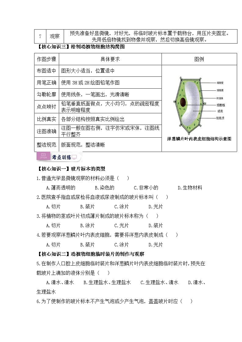 第07讲 制作与观察动植物细胞临时装片（原卷版）第2页