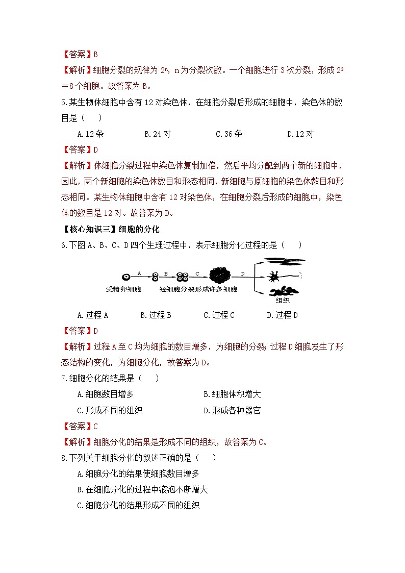 【暑假初中预备】人教版生物新七年级（六升七）暑假预习-第08讲 细胞的生长、分裂与分化 讲学案03
