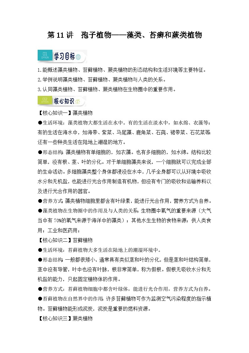 【暑假初中预备】人教版生物新七年级（六升七）暑假预习-第11讲 孢子植物——藻类、苔癣和蕨类植物 讲学案01