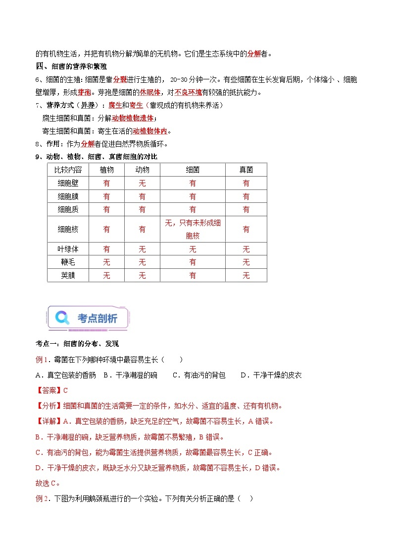 【暑假提升】人教版生物七年级（七升八）暑假预习-第07讲 细菌 讲学案02