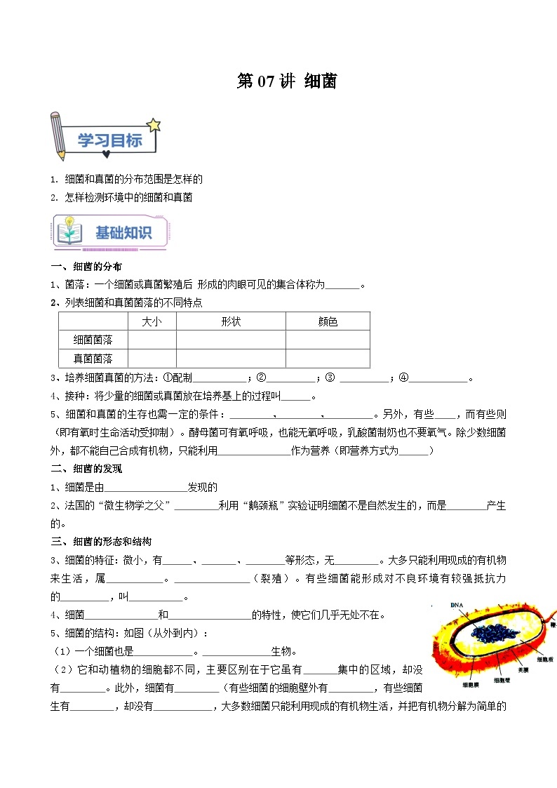 【暑假提升】人教版生物七年级（七升八）暑假预习-第07讲 细菌 讲学案01