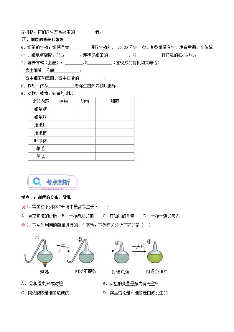 【暑假提升】人教版生物七年级（七升八）暑假预习-第07讲 细菌 讲学案02