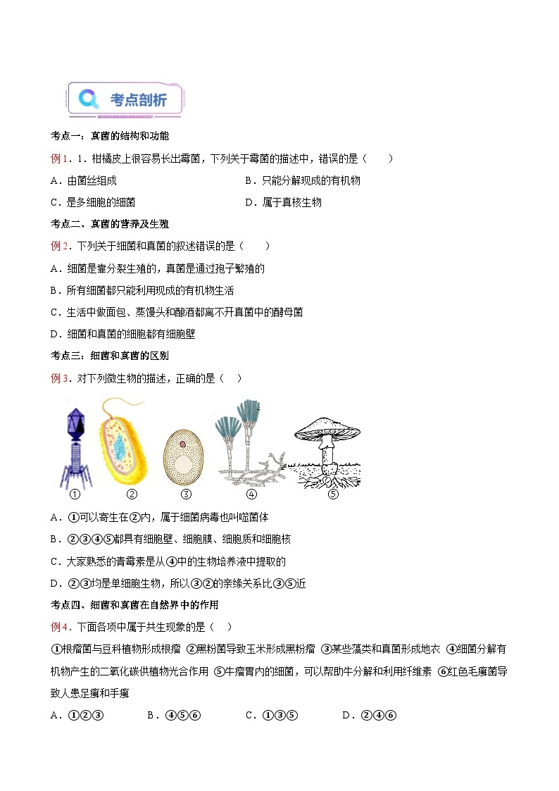 【暑假提升】人教版生物七年级（七升八）暑假预习-第08讲 真菌 讲学案03