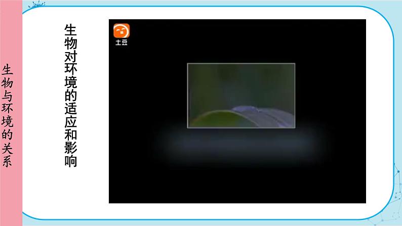 人教版生物七上 第1单元2.1.2 生物因素对生物的影响 生物对环境的适应和影响（课件PPT+视频素材）04