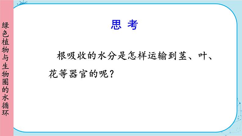 人教版生物七上 第3单元3 绿色植物与生物圈的循环（课件PPT+视频素材）08