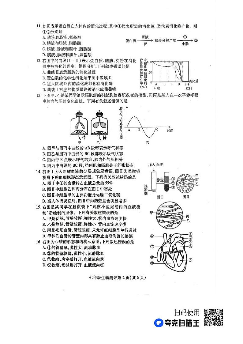 四川省内江市第六中学2022-2023学年七年级下学期期末生物试卷第2页