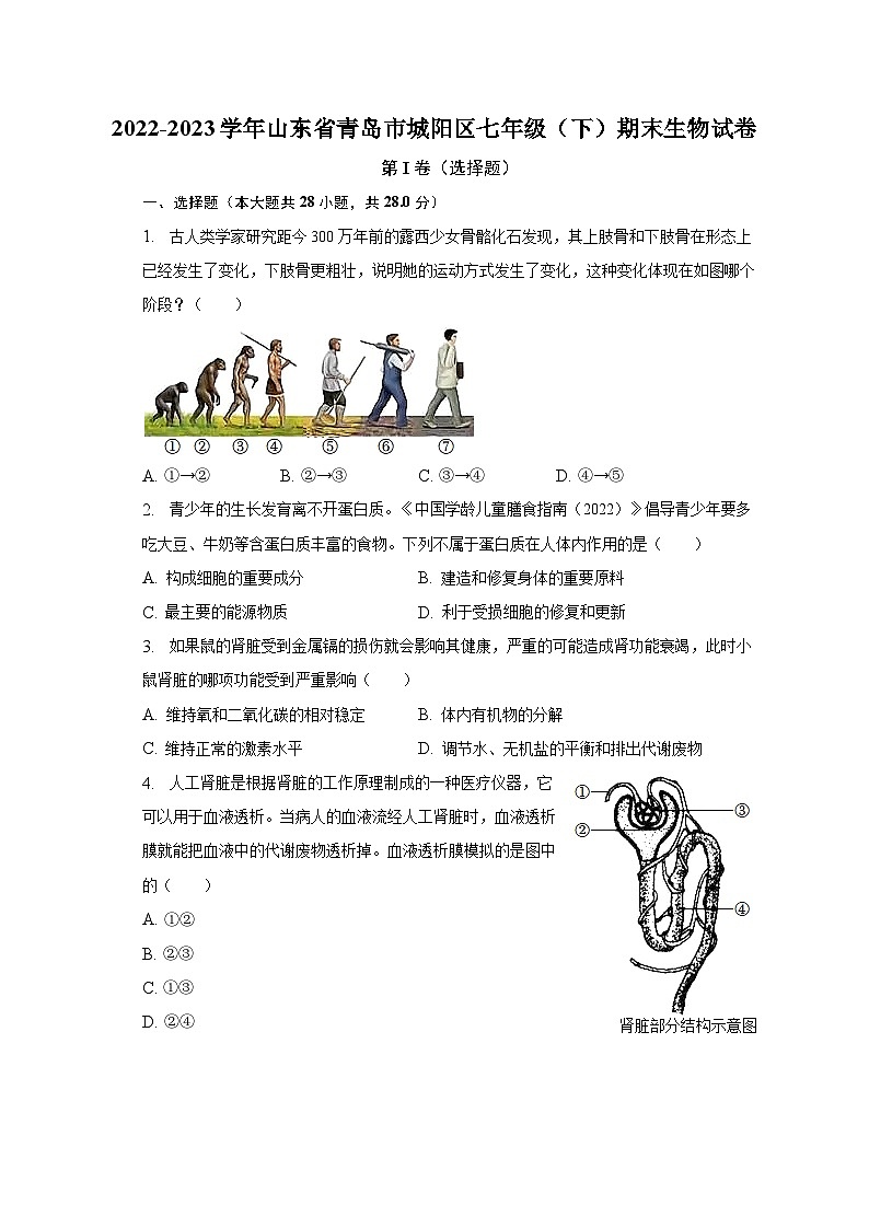 2022-2023学年山东省青岛市城阳区七年级（下）期末生物试卷（含解析）01