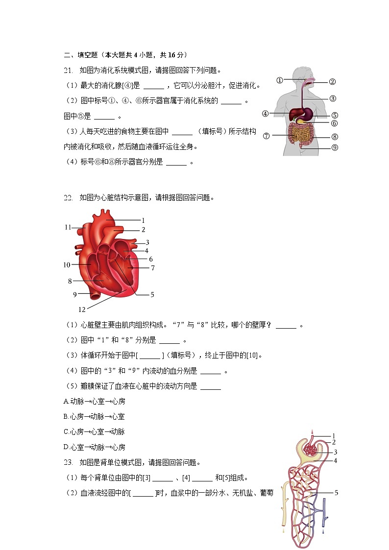 2022-2023学年重庆市荣昌区七年级（下）期末生物试卷（含解析）03