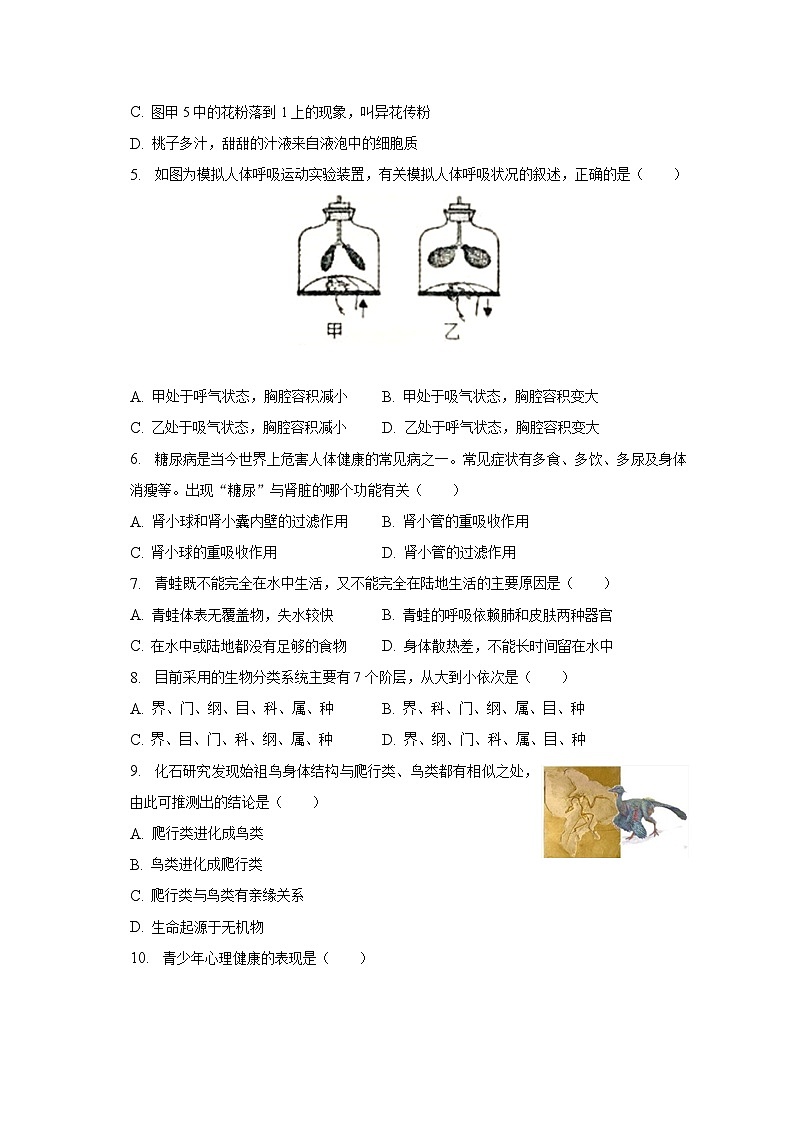 2023年安徽省淮南市凤台县中考生物模拟试卷（四）（含解析）第2页