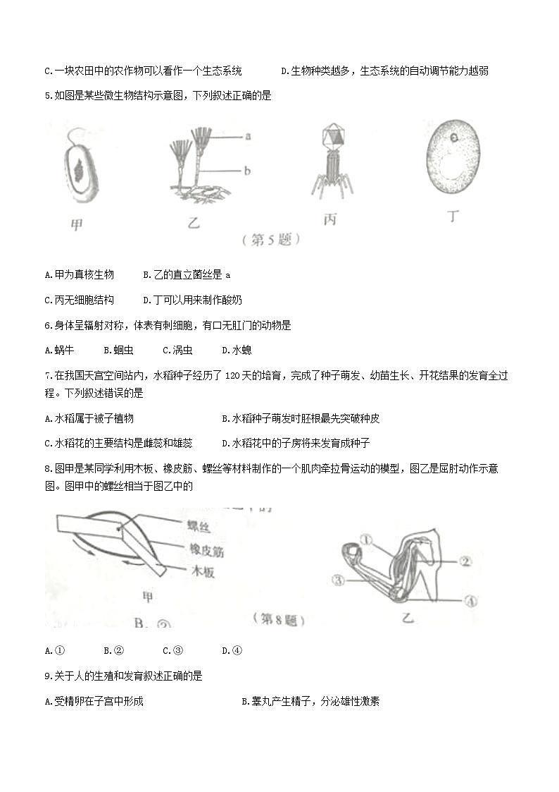 2023年吉林省中考生物真题02