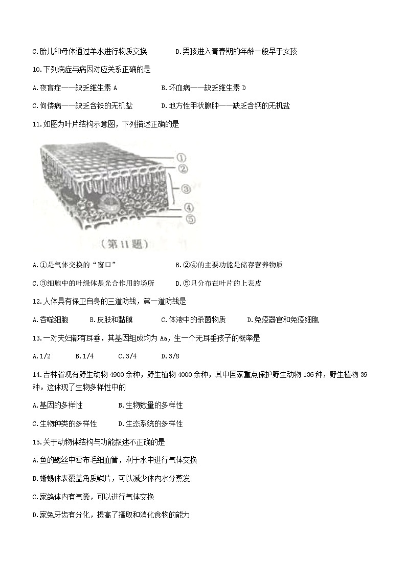2023年吉林省中考生物真题03