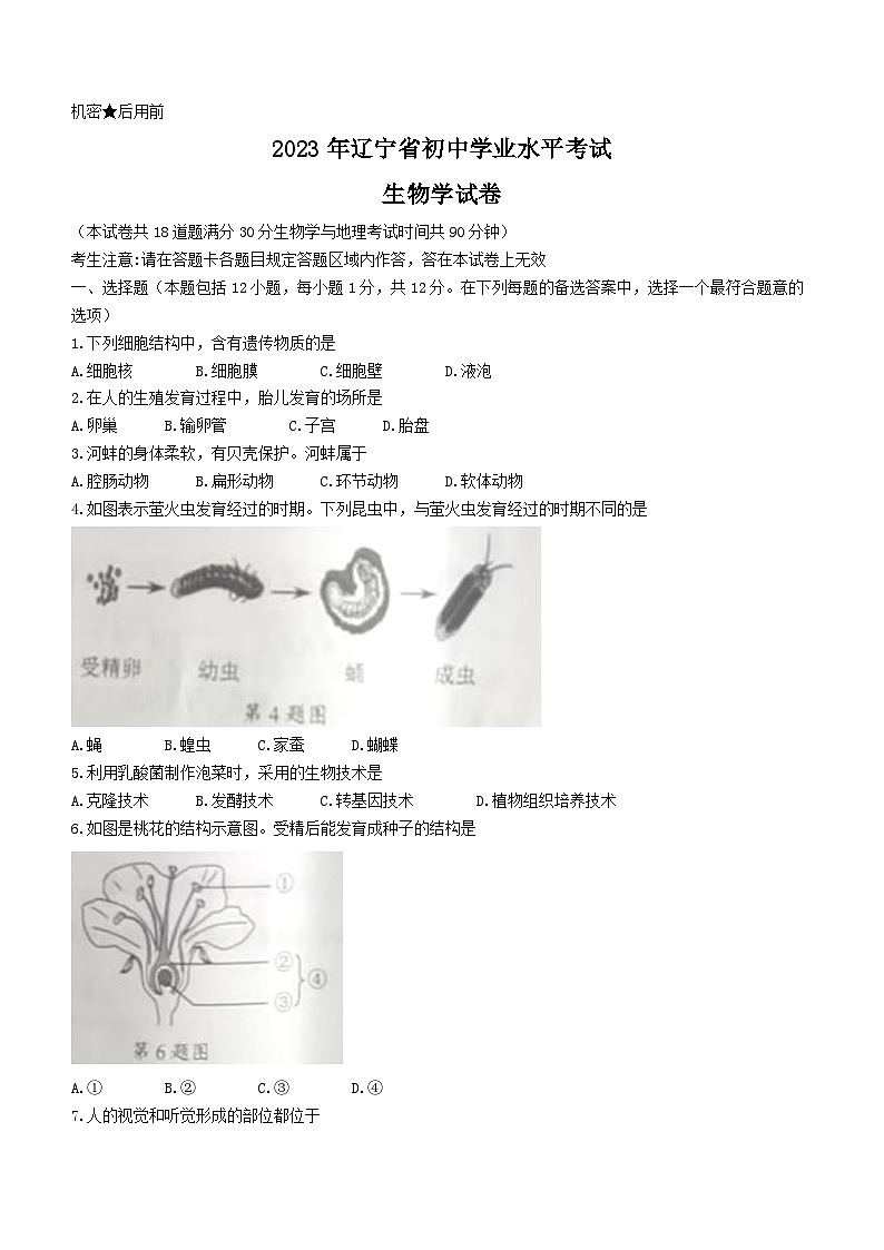 2023年辽宁省营口市中考生物真题01