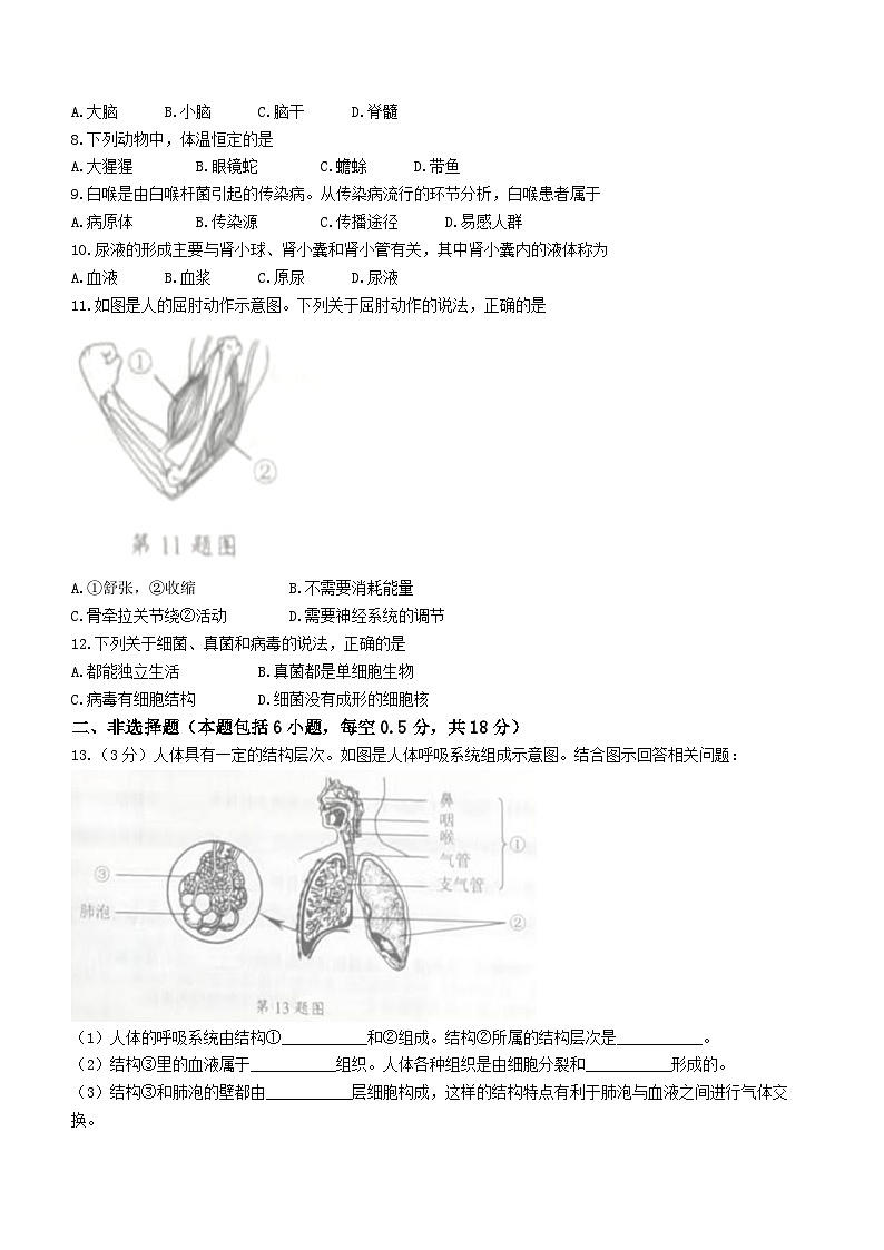 2023年辽宁省营口市中考生物真题02