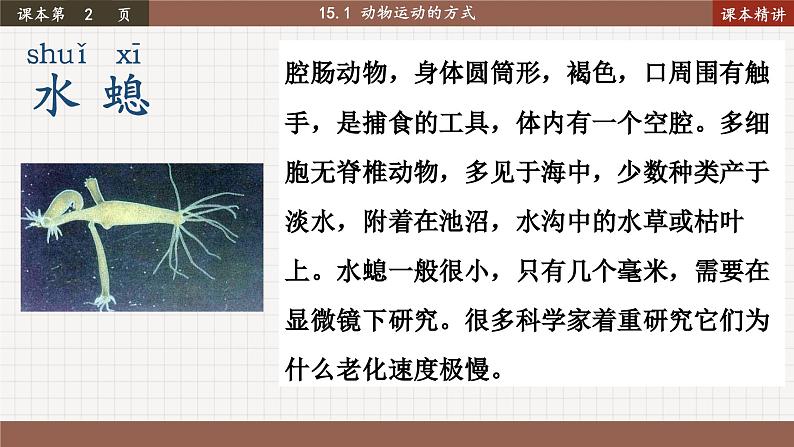 北师大版生物八上 15.1 动物运动的方式（课件PPT)03
