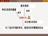 北师大版生物八上 16.1 先天性行为和后天学习行为（课件PPT+素材)