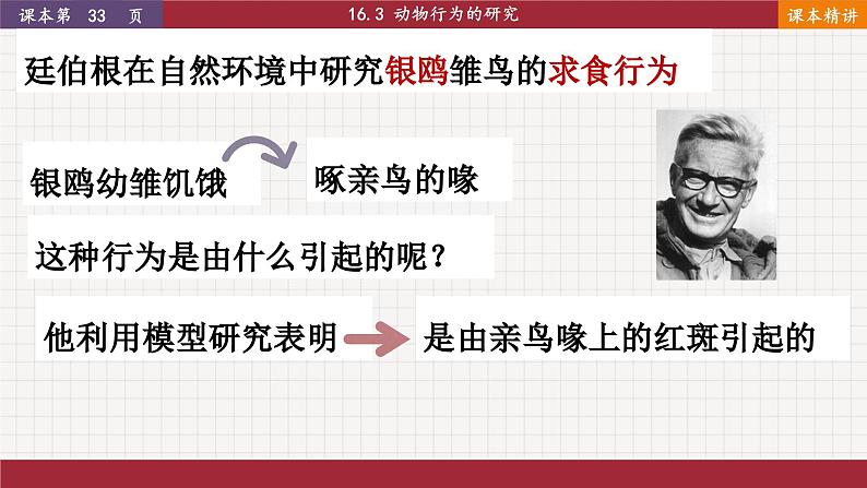 16.3 动物行为的研究第7页