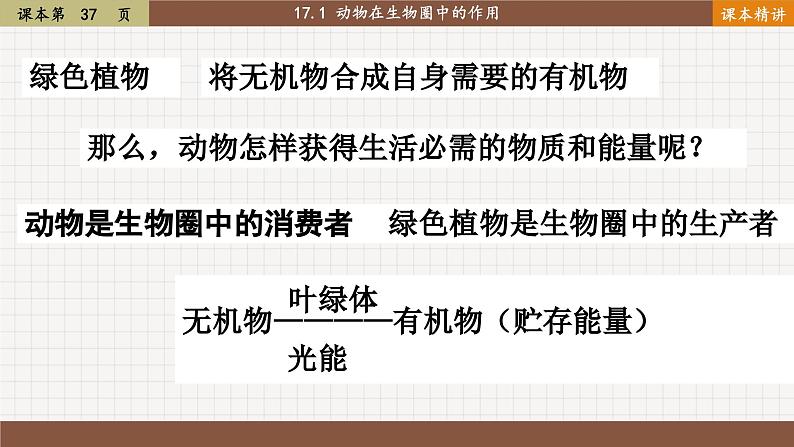 北师大版生物八上 17.1动物在生物圈中的作用（课件PPT)第3页