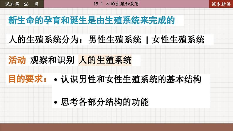 北师大版生物八上 19.1 人的生殖和发育（课件PPT)03