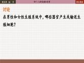 北师大版生物八上 19.1 人的生殖和发育（课件PPT)