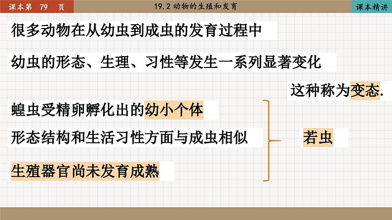 北师大版生物八上 19.2 动物的生殖和发育（课件PPT)第6页