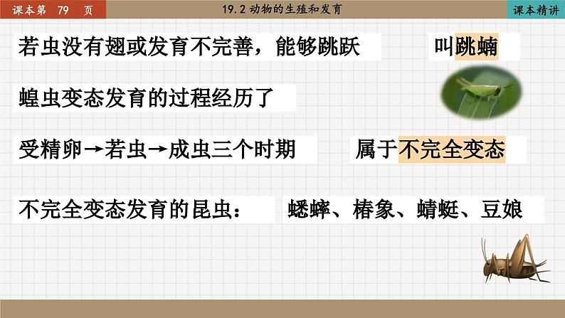 北师大版生物八上 19.2 动物的生殖和发育（课件PPT)第7页