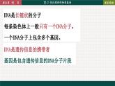 北师大版生物八上 20.2 性状遗传的物质基础（课件PPT)