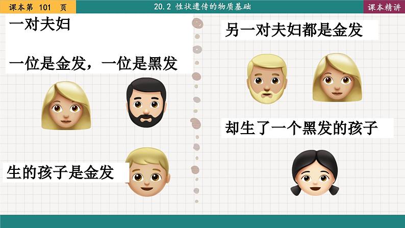 北师大版生物八上 20.3 性状遗传有一定的规律性（课件PPT)第3页