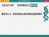 北师大版生物八上 20.3 性状遗传有一定的规律性（课件PPT)