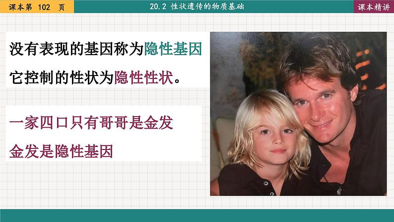 北师大版生物八上 20.3 性状遗传有一定的规律性（课件PPT)第8页