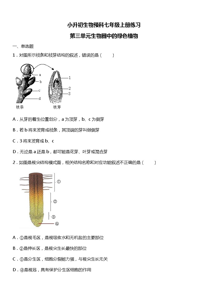 小升初生物预科七年级上册练习常考易错专项《第三单元生物圈中的绿色植物》第1页